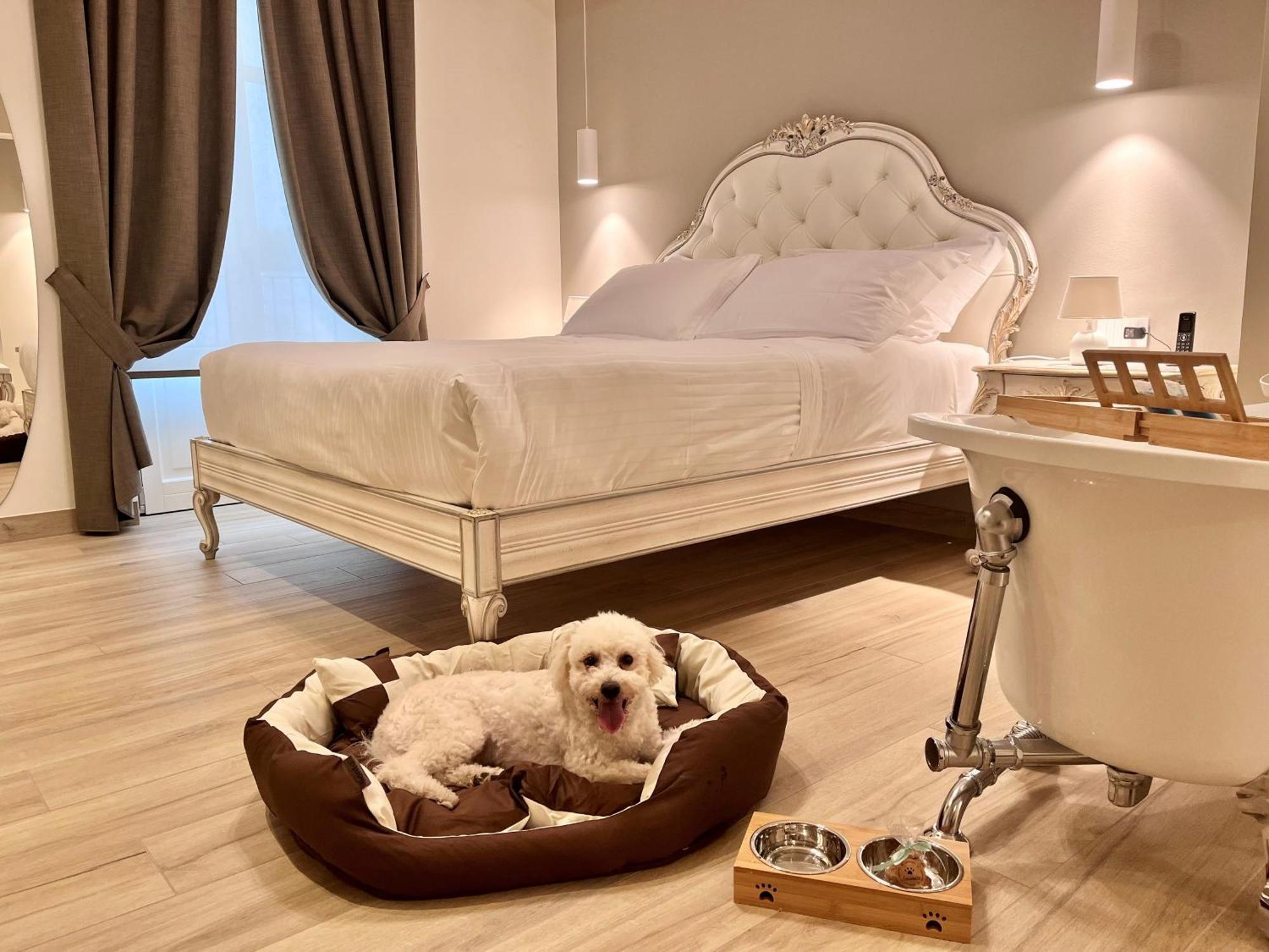 Nonna Cicci Boutique - Bed & Breakfast Cisterna d'Asti