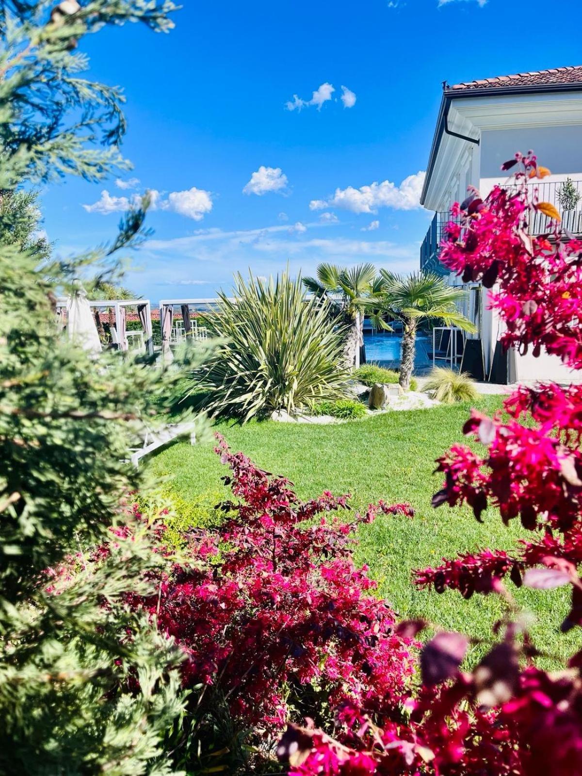 Nonna Cicci Boutique - Bed & Breakfast