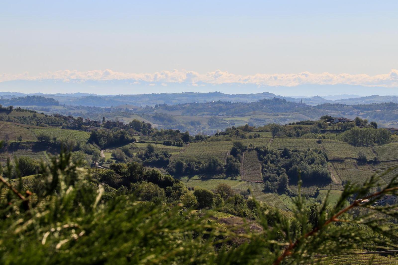 Nonna Cicci Boutique - Cisterna d'Asti